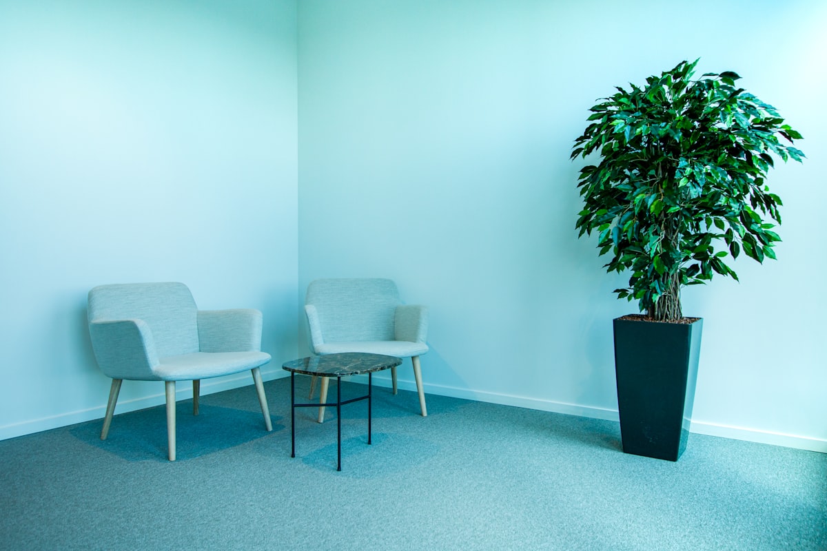 Enfield Royal Clinic Khalifa City clinic interior
